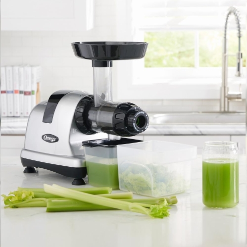 Omega Cold Press Masticating Juicer