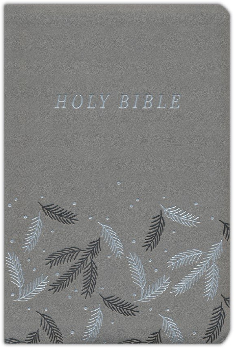 NIV Bible Gift Set Review: Everything You Need for Your Devotional Time