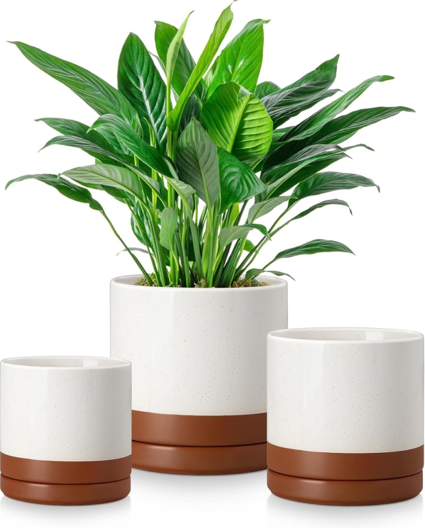 Elevate Your Greenery with This Trio of Chic Ceramic Planters