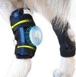 Dog Leg Brace (M, 2 Pack) | Rear Hock & Ankle Compression Wrap for ACL, Injury, & Stability