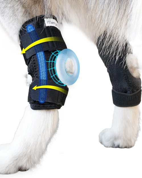 Dog Leg Brace (M, 2 Pack) | Rear Hock & Ankle Compression Wrap for ACL, Injury, & Stability