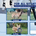 Give Your Pup Their Spark Back: The Gentle, Stay-Put Solution for Happy, Stable Walks