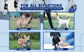 Give Your Pup Their Spark Back: The Gentle, Stay-Put Solution for Happy, Stable Walks