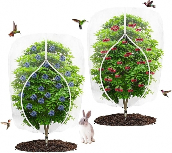 Save 50% on Durable 4x6ft Garden Fruit Tree Netting - Must-Buy Deal!