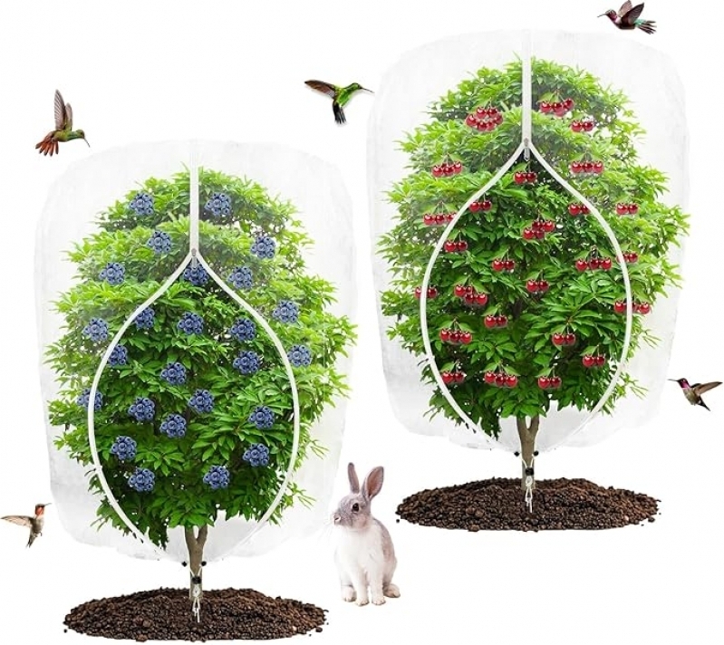 Save 50% on Durable 4x6ft Garden Fruit Tree Netting - Must-Buy Deal!